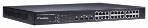 GV-POE2411