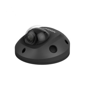 DS-2CD2543G2-IS(2.8mm)(BLACK)